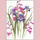 Gladiolus and Iris Sibirica